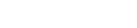 CEO CONSULTING